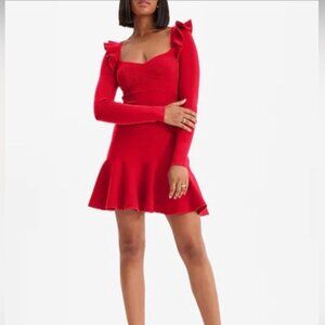 Express - Long Sleeved Flare Dress
